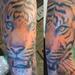 tattoo galleries/ - dad's tiger - 63518